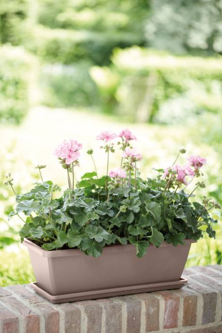 barcelona trough 90cm taupe